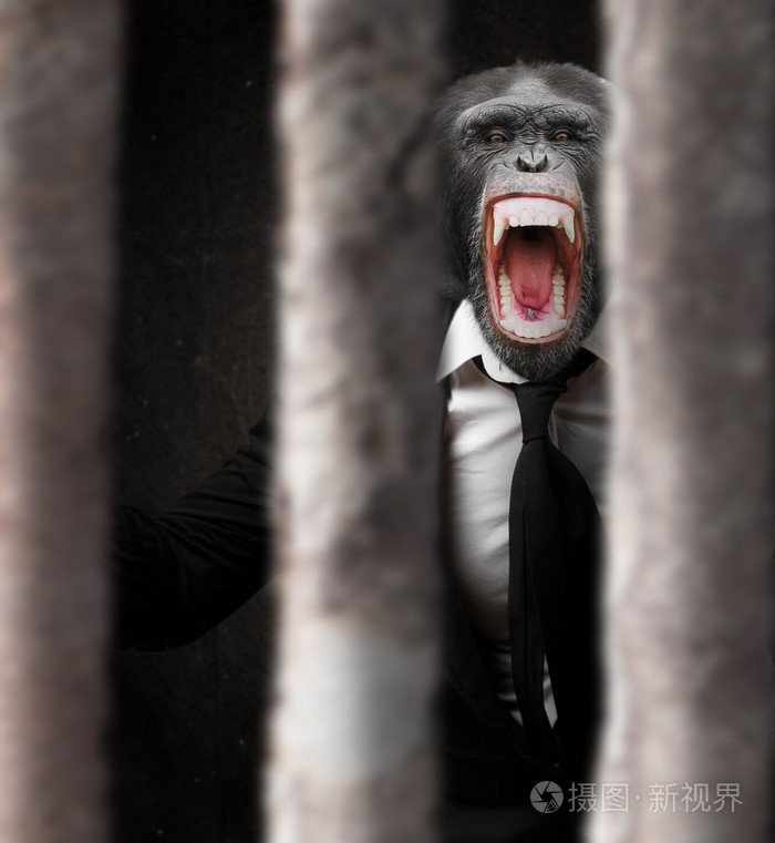 铁窗懊恼的猴子