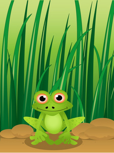 草背景的可爱卡通青蛙的插图
