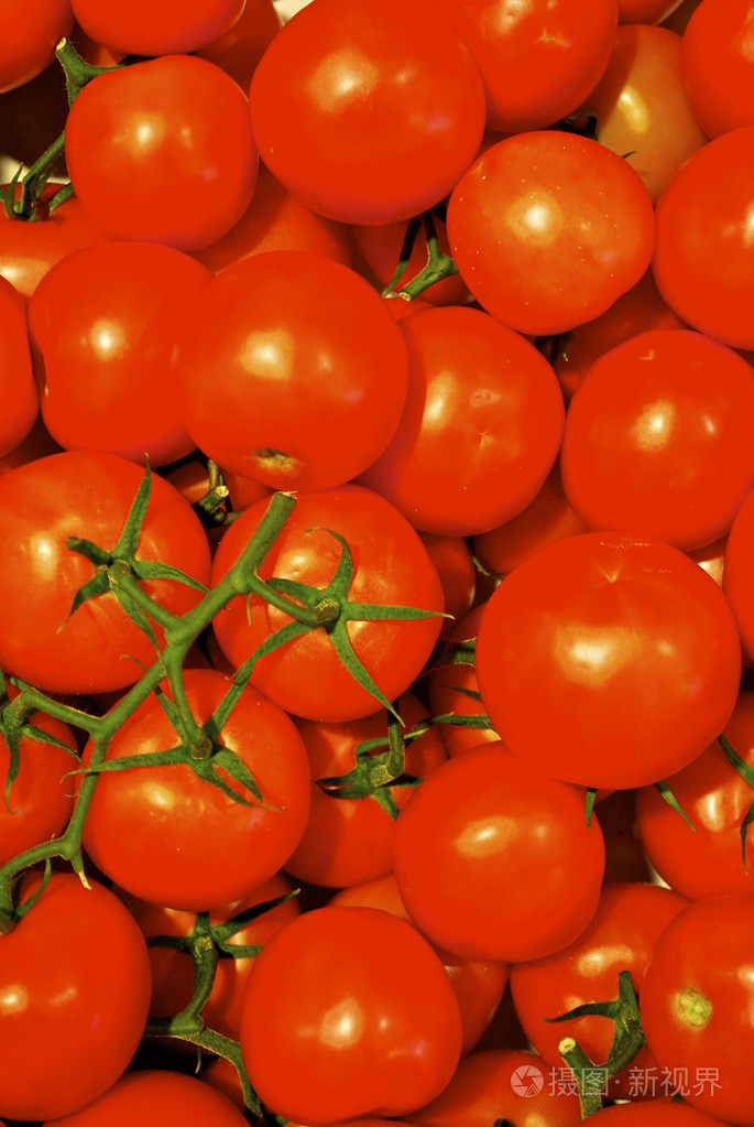 在框中的西红柿