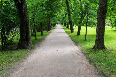 streight 路道路，树木和鹅肝