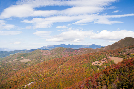 与多彩森林山秋天风景