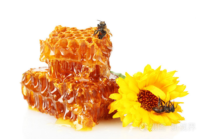 甜蜂窝状,与蜂蜜, 蜜蜂和花朵,白色上孤立