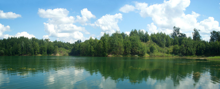 夏天自然景观全景与森林湖上的树