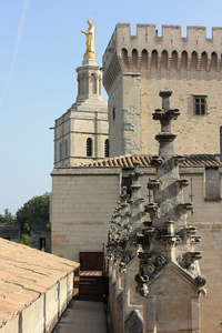 查看关于 notre dame des doms 万国宫大殿，阿维尼翁，法国