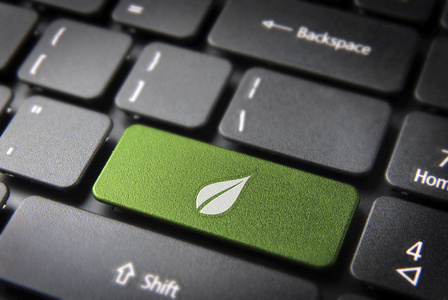 绿叶键盘键，环境背景