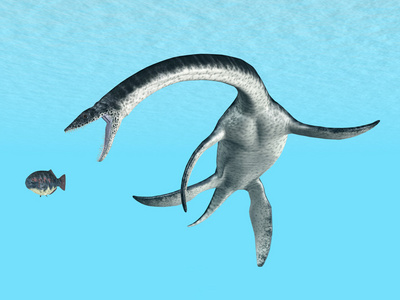 当我打猎时 plesiosaurus