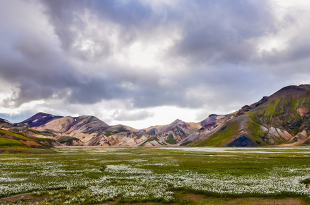 在冰岛，用花草甸景观观 landmannalaugar 山