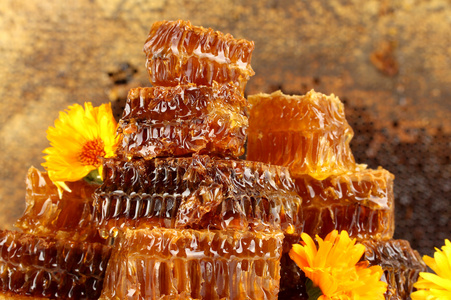 甜蜂窝蜂蜜与鲜花的蜂窝背景