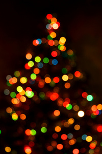 抽象圣诞节树背景