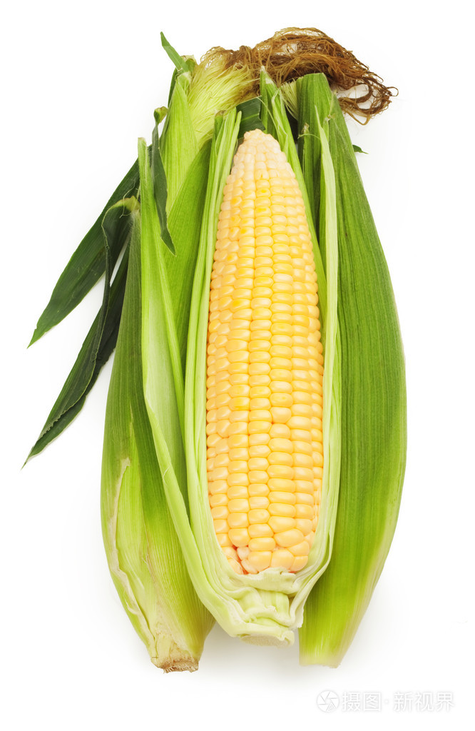 新鲜玉米照片-正版商用图片1a4f0m-摄图新视界