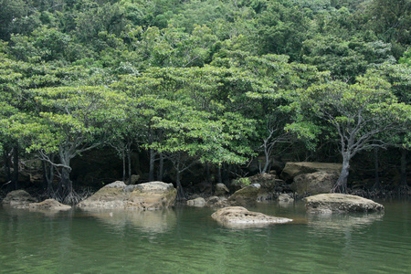 西表岛 冲绳岛 日本川河