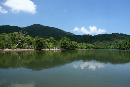 西表岛, 冲绳岛, 日本川河照片