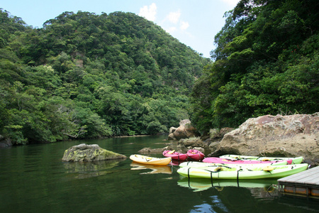 皮划艇西表岛 冲绳岛 日本川河