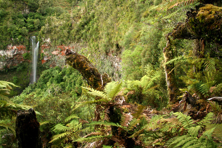 tupapakarua 瀑布汤加里罗国家公园 新西兰