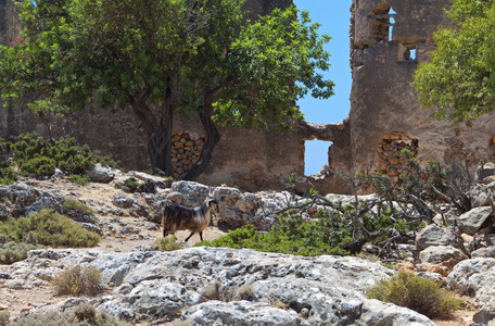 在希腊克里特。loutro 的区域