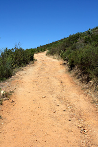 南非桌山远足路径