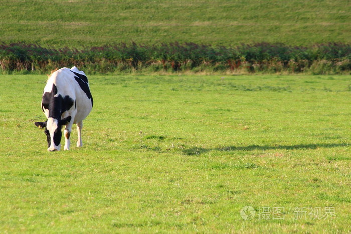 ݵϵĻţ_дţڲݵ_ţڲݵʲôд