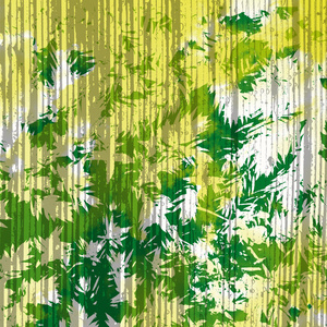 水叶子绿色黄色条纹