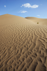 沙漠风景与沙丘图片