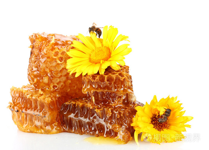 甜蜂窝状与蜂蜜蜜蜂和花朵孤立在白色