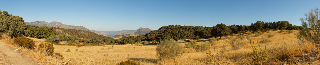 塞拉利昂 de grazalema 国家公园的全景风景照片。美丽的风景。蓝色的天空。马拉加。西安大路。西班牙