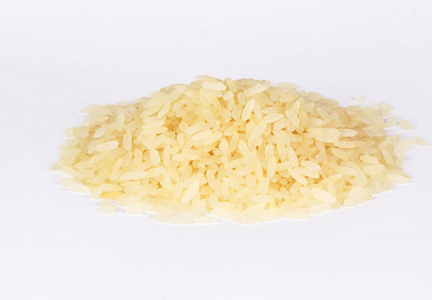 水稻隔离