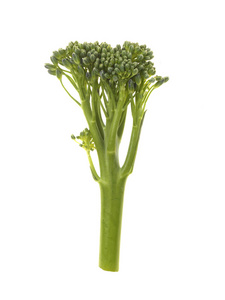 tenderstem 西兰花