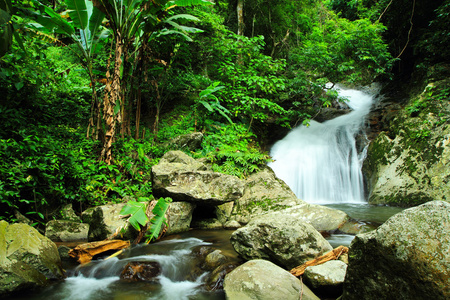 水木蓝色壁纸图片