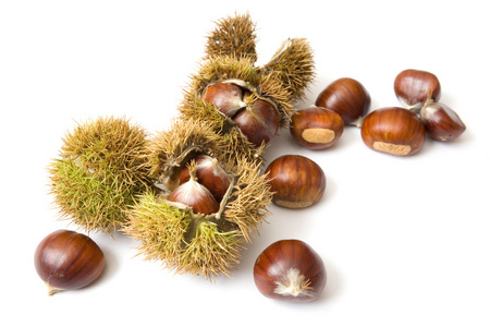 尖尖的栗子图片