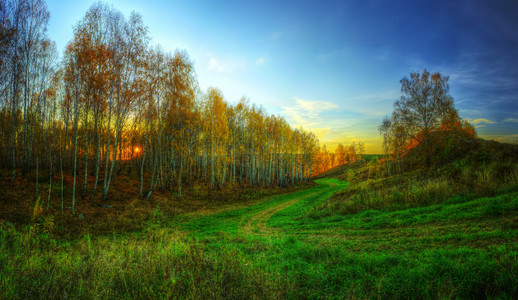 hdr 全景图的金色晚秋天的森林与蓝蓝的天空