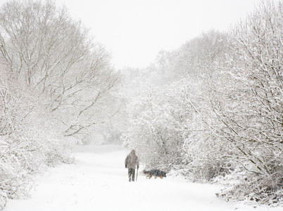 男人和狗在雪中