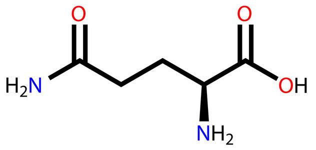 谷氨酰胺谷氨酰胺氨基酸分子的结构照片