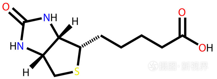 生物素 维生素 H 或 B7 结构式