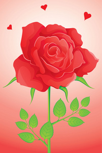 矢量插画的背景与美容玫瑰