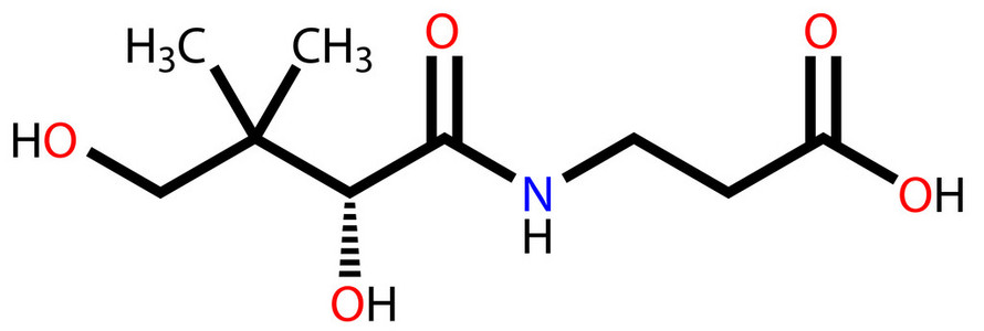 紧张的酸奶泛酸 (维生素 b5) 结构式照片