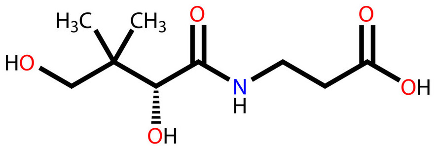 泛酸 维生素 B5 结构式