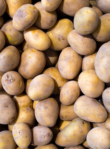 褐色土豆市场显示模式