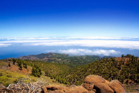 la palma 卡尔德拉德连海的云