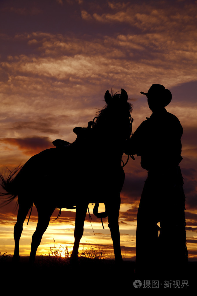 在夕阳中的牛仔控股马