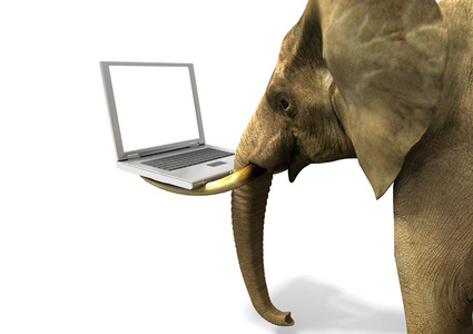 大象和便携式计算机