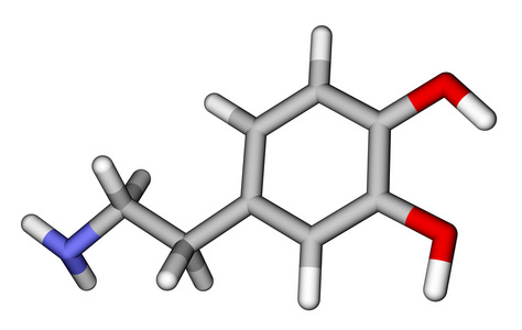多巴胺棍棒分子模型照片