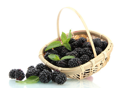 美丽黑莓用叶子在篮子上白色隔离