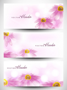 网站标头或用美丽的花卉设计设置的横幅。1 eps