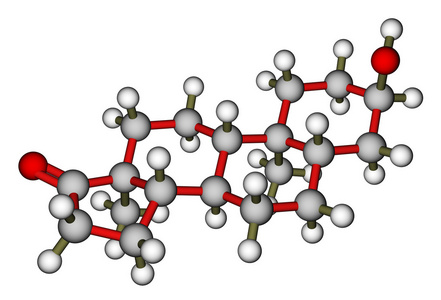 雄酮，男性的性激素。分子模型