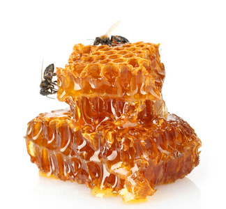 蜂蜜与蜜蜂，孤立在白色甜蜂窝