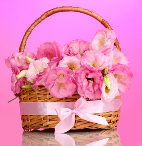洋在篮子里，粉红色的背景上的花束