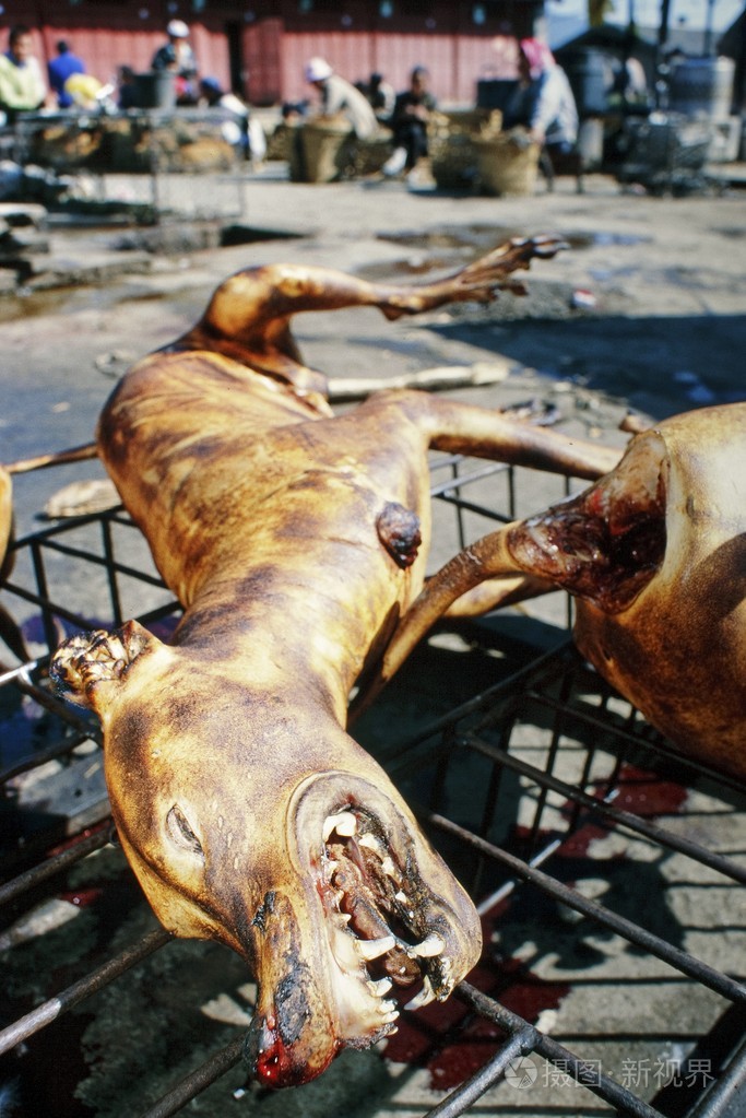 在中国的烤的狗