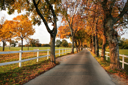 秋天的美丽国家道路