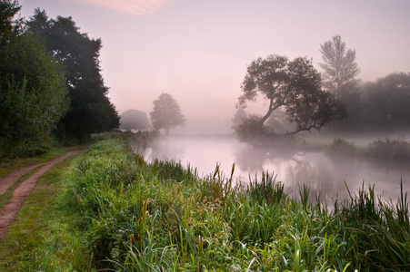 美丽的雾日出景观树木和 sunb 河