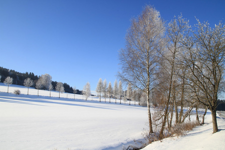 白色的雪场冬季仙境